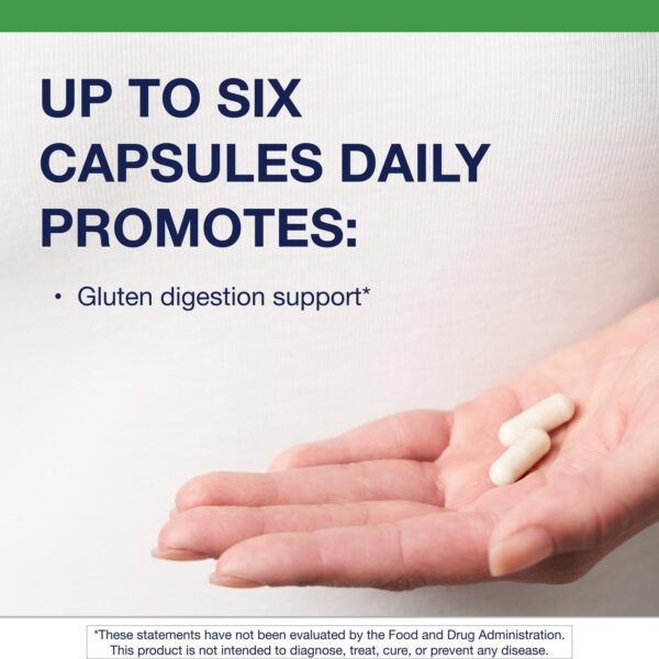 Detalle de ingredientes gluten digest