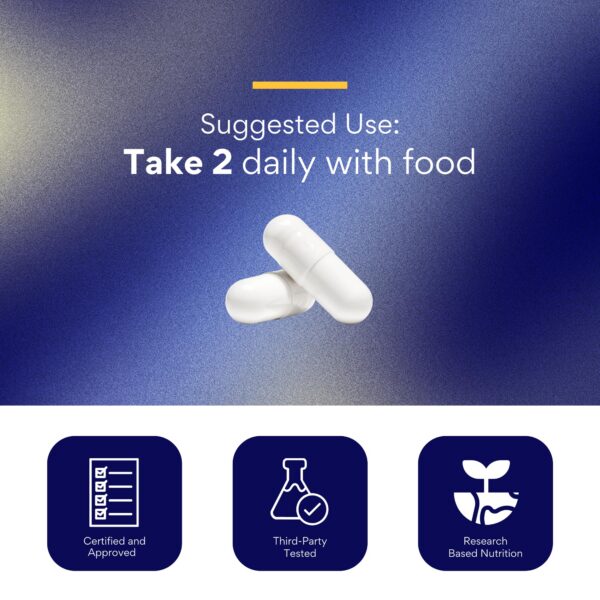 Version 1.0.0 Extracto de cúrcuma con curcumina para digestión saludable