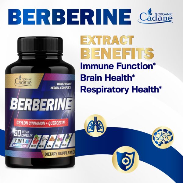 Detalle ingredientes naturales suplemento Cadane berberina