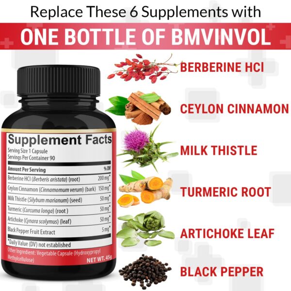 Version 1.0.0 Detalle ingredientes suplemento BMVINVOL Berberina complejo