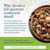 Suplemento vegano Youtheory con beta-glucanos saludables