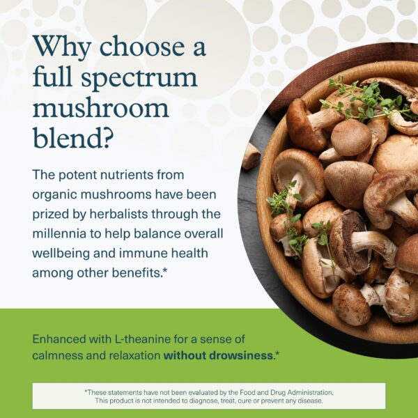 Suplemento vegano Youtheory con beta-glucanos saludables