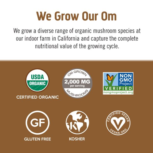 Detalle lata OM Mushroom Latte Blend 8.47 onzas