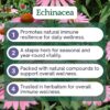 Version 1.0.0 Detalle líquido tintura echinacea Herb Lore frasco 2oz