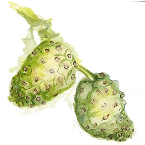 Version 1.0.0 Maui Medicinal Herbs Suplemento natuarl de Noni