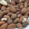 Detalle de nueces de kola amarga Kola Nutrition Fresh 1lb