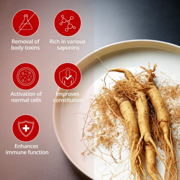 Detalle paquete polvo ginseng coreano CHEONGHWA F&B