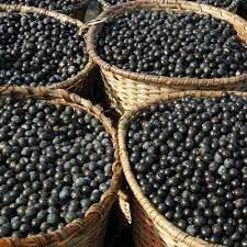 cápsulas naturales acai extracto para salud y energía