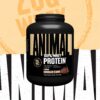 Detalle del polvo Animal 100% Whey sabor chocolate