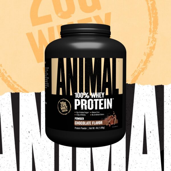 Detalle del polvo Animal 100% Whey sabor chocolate