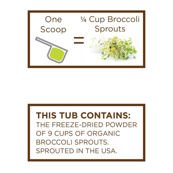 Detalle polvo brotes de brócoli KOYAH orgánico