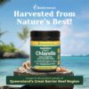 Detalle Polvo de Chlorella Australiana Biogénesis