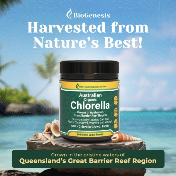 Detalle Polvo de Chlorella Australiana Biogénesis