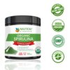 Detalle del polvo de espirulina azul-verde vegano