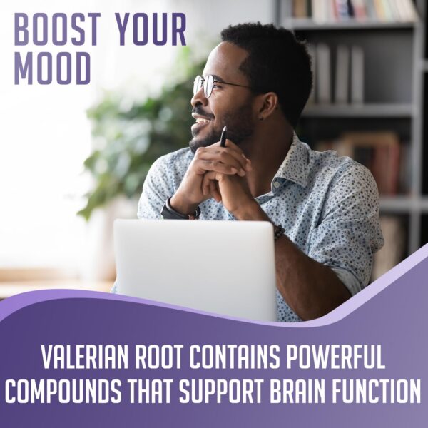 Polvo valeriana natural y vegano XPRS Nutra para suplementos