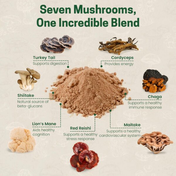 Detalle polvo hongos sagrados Z Natural Foods