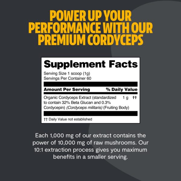 Detalle polvo Natural FreshCap Cordyceps para energía