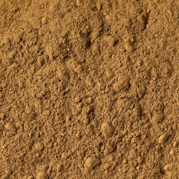 Version 1.0.0 Polvo puro hongo Reishi sin aditivos ni rellenos