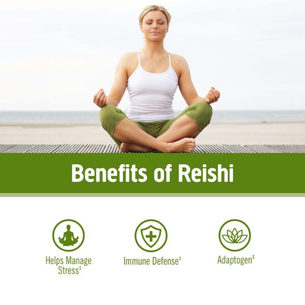 Hongos OM MUSHROOM SUPERFOOD cultivados en EE.UU.