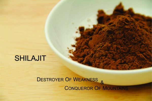 Detalle del polvo Shilajit en tamaño mediano para anti-envejecimiento