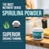 Detalle polvo superalimento espirulina azul-verde vegano