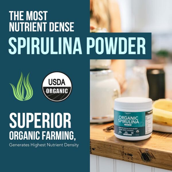 Detalle polvo superalimento espirulina azul-verde vegano