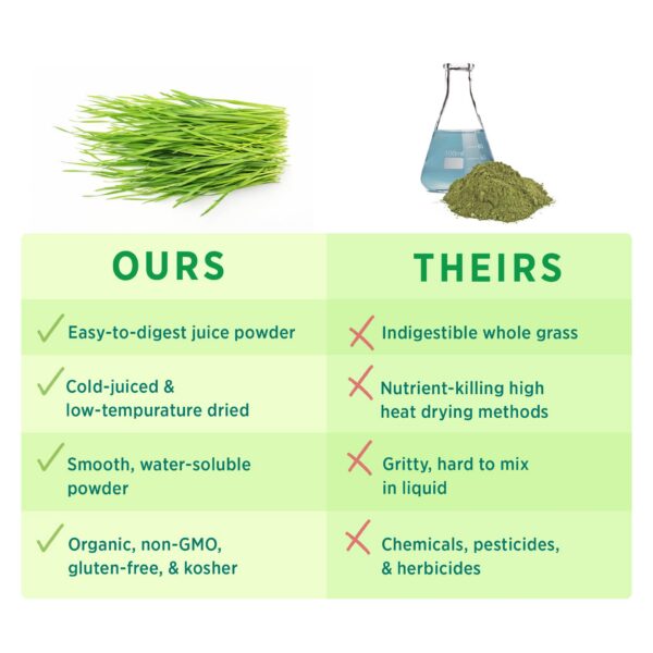 Detalle polvo verde orgánico PURE SYNERGY jugo pasto cebada