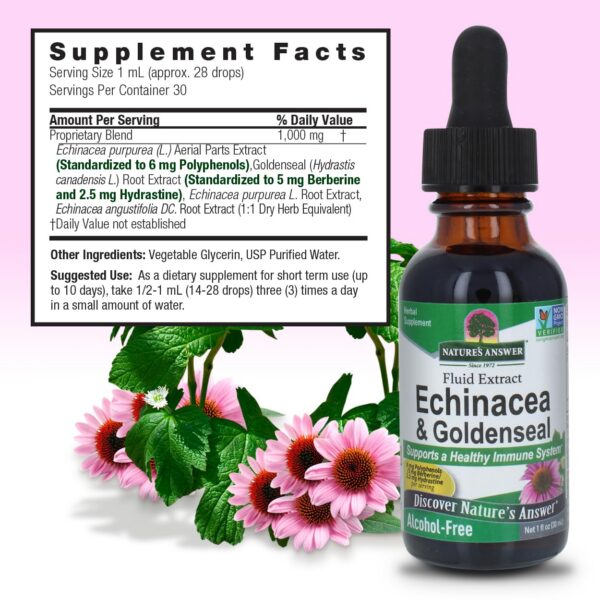 Detalle presentación extracto sin alcohol Echinacea Goldenseal 1oz