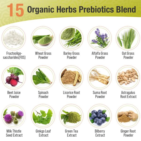 Ascuoli mezcla orgánica prebióticos y probióticos para salud