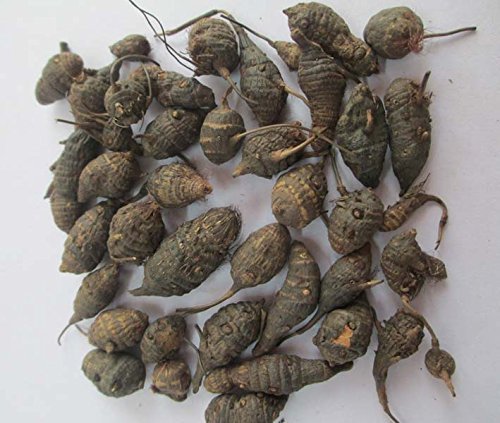 Detalle producto Neotea Korai Kizhangu polvo 1kg raíz natural