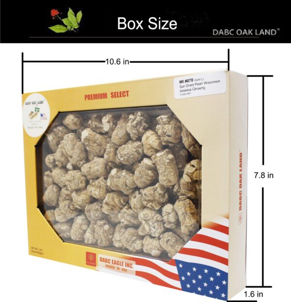 Detalle raíces ginseng americano DABC OAK LAND