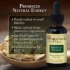 Detalle de raíz de ginseng americano Woodstock Herbal Products 1 onza