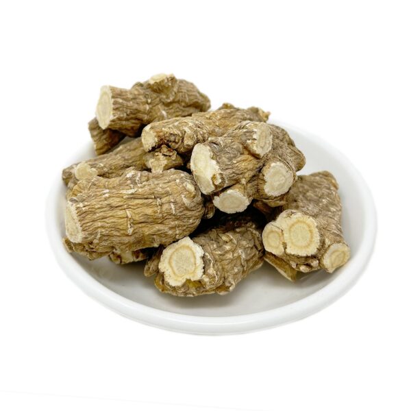 Detalle raíz ginseng DABC OAK LAND cultivado Wisconsin