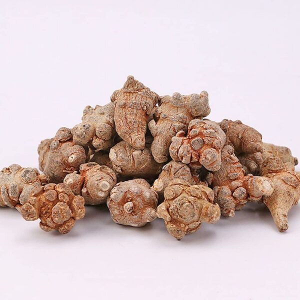 Detalle de raíz de notoginseng para suplemento herbal natural