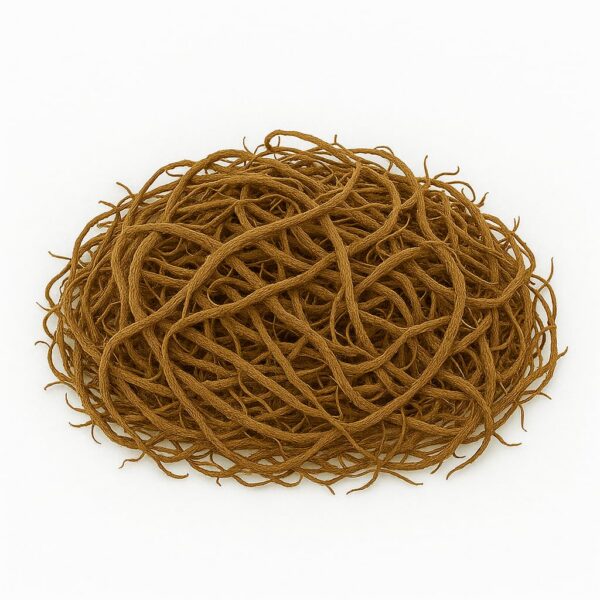 Detalle raíz valeriana orgánica seca para bienestar natural