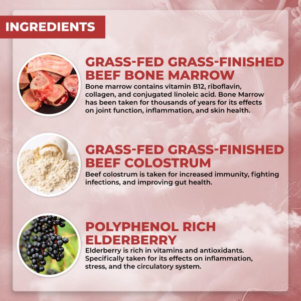 Version 1.0.0 Detalle del suplemento de vísceras de res Santa Cruz Paleo