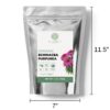 Detalle té Echinacea Purpurea Elanen Naturals