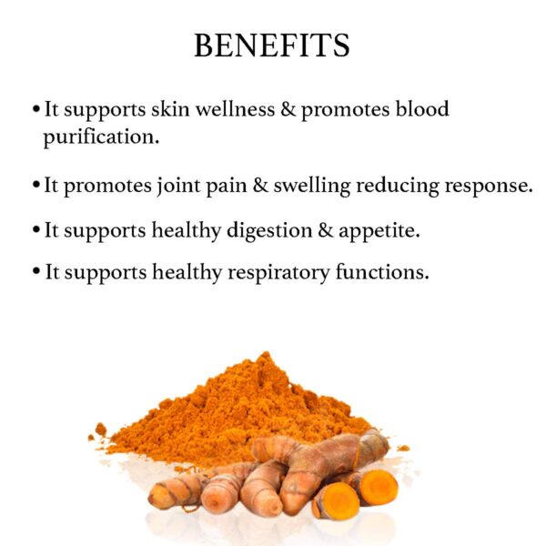 Version 1.0.0 Detalle textura polvo jengibre mango bixa BOTANICAL