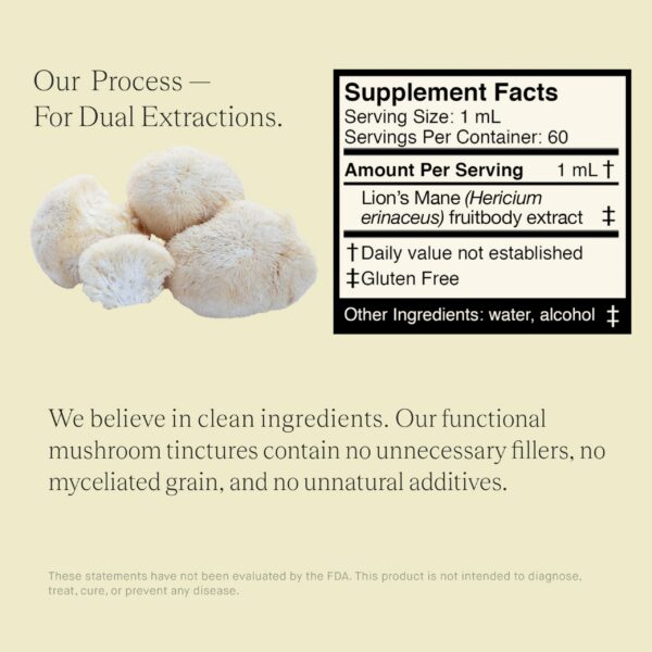 detalle-tintura-hongo-melena-de-leon