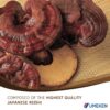 Detalles de suplemento japonés Reishi Umeken 60 paquetes