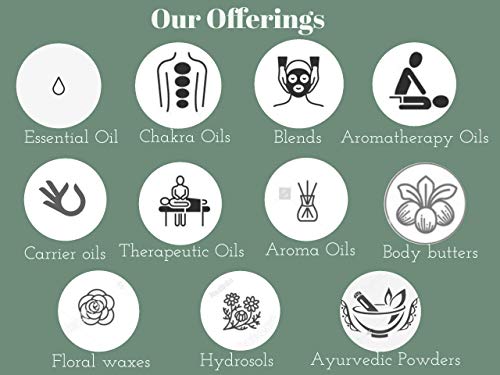 Polvo terapéutico puro de corteza de canela Deve Herbes