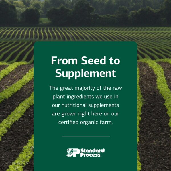 Cataplex D en estante