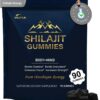Gomitas Shilajit DLNIA frente al empaque 90 piezas