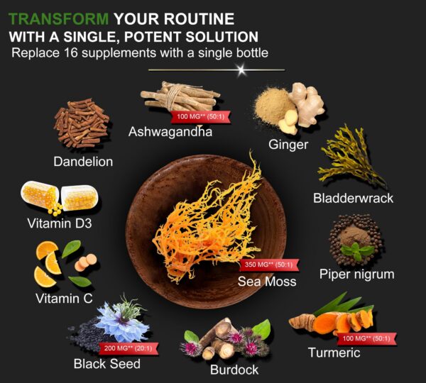 DLNIA suplemento natural vitaminas C y D3 con Musgo marino