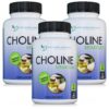 Frasco frontal de DOCTOR RECOMMENDED SUPPLEMENTS Premium Choline