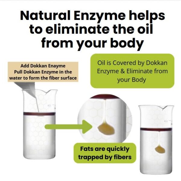 Version 1.0.0 Vista superior del empaque