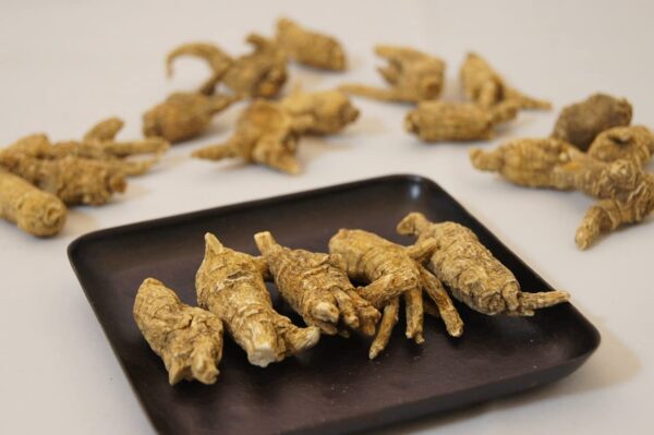 Dorothy27 raíces de ginseng Wisconsin 6-8 años paquete