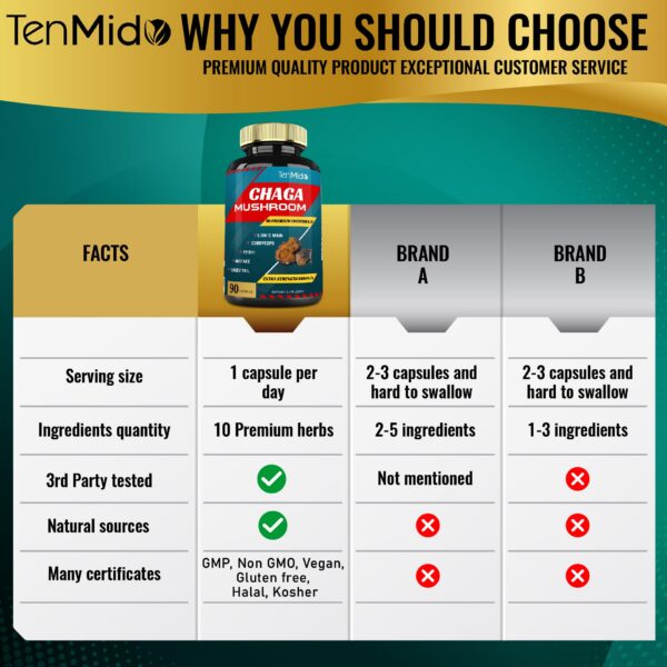 Dos frascos cápsulas Tenmido extracto hongo chaga y 9 hierbas