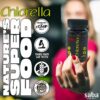 Dosis diaria recomendada Saba Chlorella de 2 tabletas