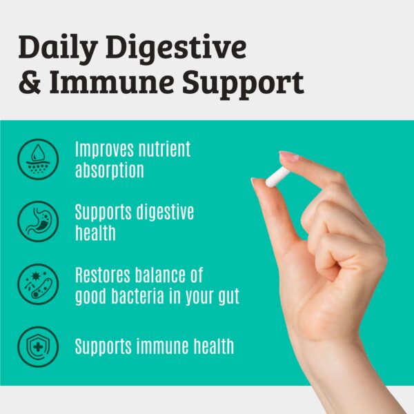 Version 1.0.0 Cápsulas prebióticas y probióticas Dr Matthew para digestión